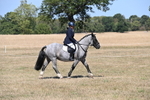 WJ6_8781