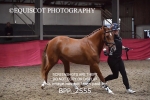 BPP_2555