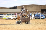 SBM_003431