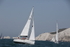 190629 GO-GO GBR4452L D43A4647
