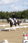 SBM_001149
