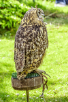 0628 IMG_6610