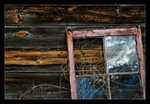 Pink Window