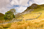 View from Llyn Dywarchen