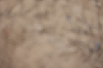 20260502-1112