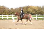 SBM_000893