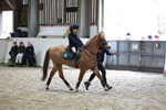AJG_0442