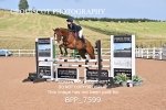 BPP_7599