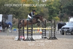 BPP_1299