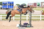 Cls 6 Foxhunter and 1.20m portfolio