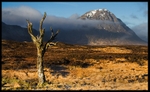 Rannoch Moor - Highlands