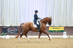 SBM_007761