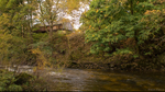 Autumn on the Scaur II