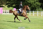 Cls 1 Foxhunter portfolio