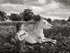 The Horse