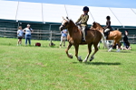 SBM_07915