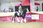 SBM_08628