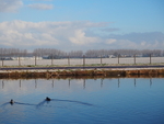 P1300084