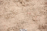 241117X-135746-04926