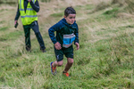 Grasmere U9-24