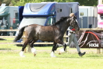 SBM_02313