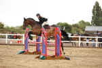 SBM_025063