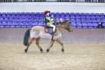 SBM_000247