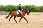 SBM_006578