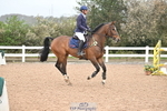 Cls 15 Foxhunter portfolio