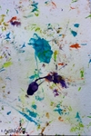 #5 *  Painting 6x9  - $55
