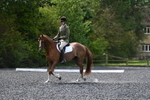 WJ5_9974