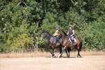 WJ6_7843