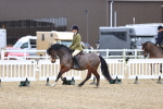 SBM_007537