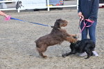 SBM_09513