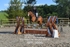 BPP_8666