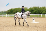 SBM_005884