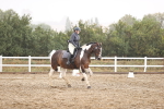 SBM_004804