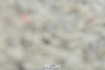 230326A-125221-01375