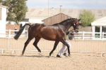 SBM_06834