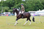 SBM_02509