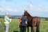 Golden Horseshoe 2025 portfolio