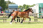 SBM_02365