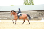 Class 5-7 - Novice 1-Elementary 1 portfolio