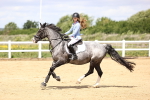SBM_007565