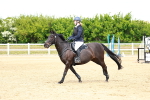 SBM_008009