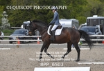 BPP_6503