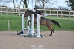 240409A-DSC_0596-01663