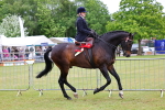 SBM_02882