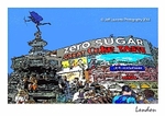 LL10 Piccadilly Circus London Postcard