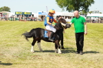 SBM_17074